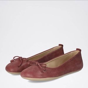 Groundies Magnolia in bordeaux 37